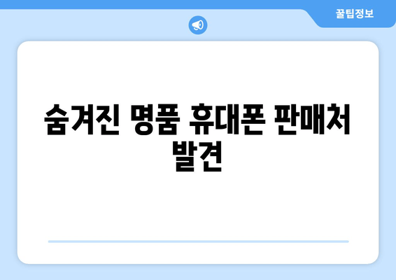 숨겨진 명품 휴대폰 판매처 발견