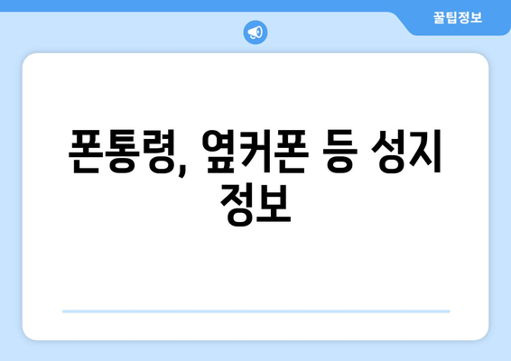 폰통령, 옆커폰 등 성지 정보