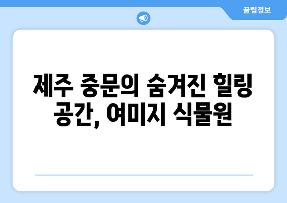 제주 중문관광단지의 숨겨진 보석, 여미지 식물원| 힐링과 아름다움을 만끽하는 여행 | 제주, 중문, 식물원, 여행, 가볼만한곳