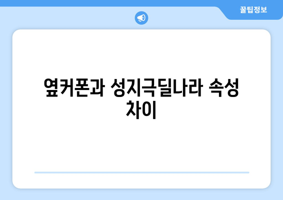 옆커폰과 성지극딜나라 속성 차이