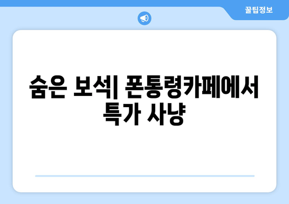 숨은 보석| 폰통령카페에서 특가 사냥