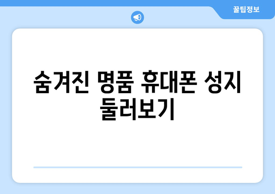 숨겨진 명품 휴대폰 성지 둘러보기