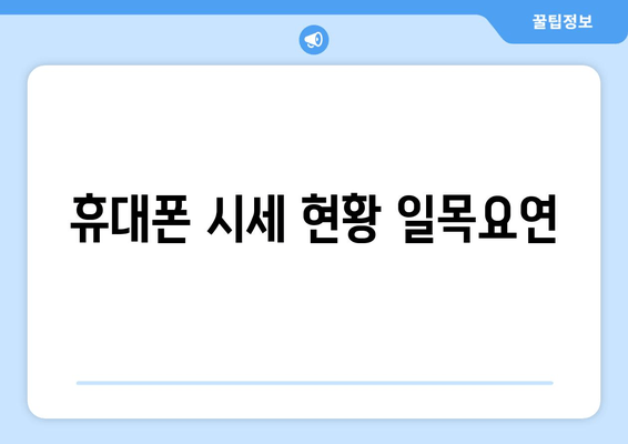 휴대폰 시세 현황 일목요연