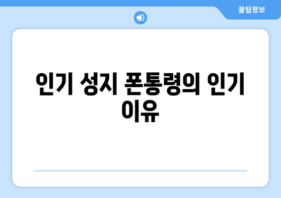 인기 성지 폰통령의 인기 이유