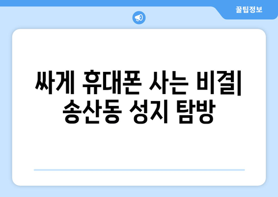 싸게 휴대폰 사는 비결| 송산동 성지 탐방