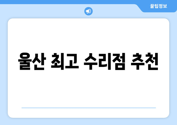 울산 최고 수리점 추천