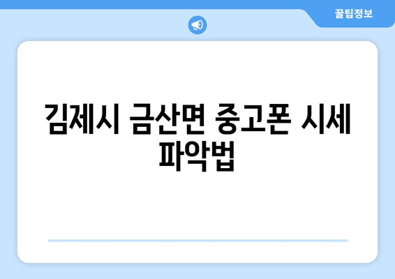 김제시 금산면 중고폰 시세 파악법