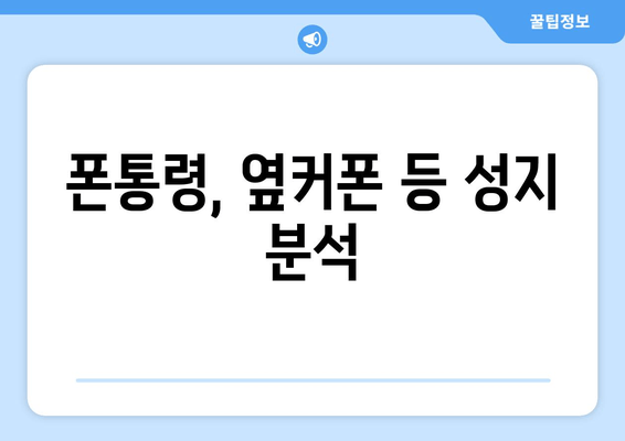 폰통령, 옆커폰 등 성지 분석