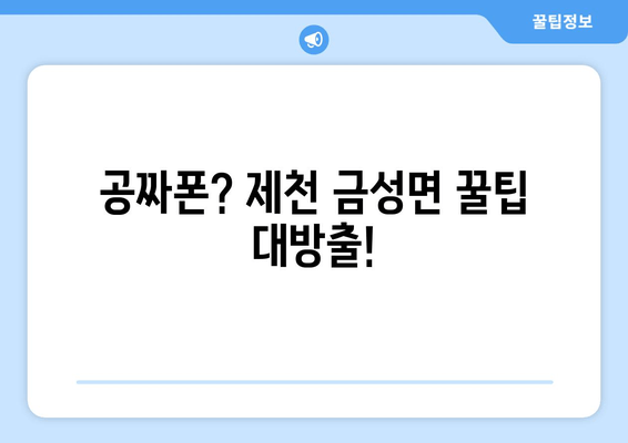 공짜폰? 제천 금성면 꿀팁 대방출!