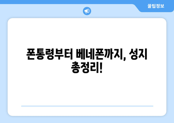 폰통령부터 베네폰까지, 성지 총정리!