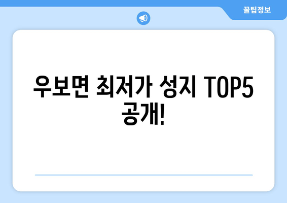 우보면 최저가 성지 TOP5 공개!