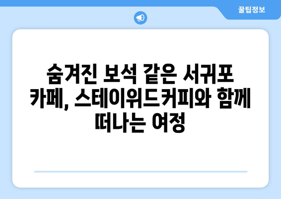 제주 서귀포 스테이위드커피| 숨겨진 보석 같은 카페 3곳 | 서귀포 카페 추천, 분위기 좋은 카페, 커피 맛집