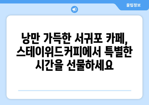 제주 서귀포 스테이위드커피| 숨겨진 보석 같은 카페 3곳 | 서귀포 카페 추천, 분위기 좋은 카페, 커피 맛집