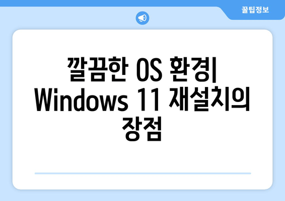 Windows 11 Moment 5 업데이트로 OS 재설치하기| 간편 가이드 | Windows 11, 업데이트, 재설치, 팁