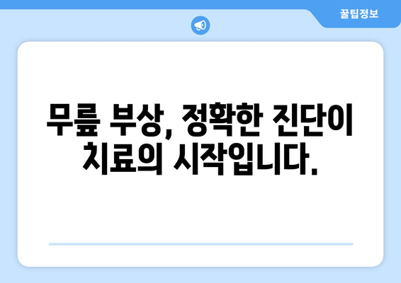 반월상 연골 파열 vs 십자인대 파열| 어떤 치료가 필요할까요? | 무릎 부상, 치료 방법, 재활