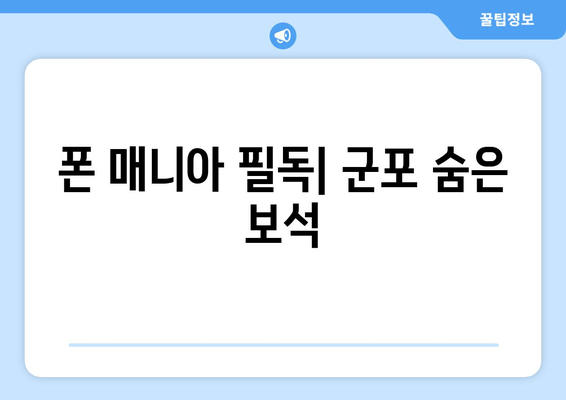 폰 매니아 필독| 군포 숨은 보석