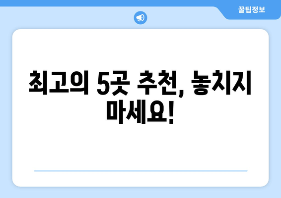 최고의 5곳 추천, 놓치지 마세요!