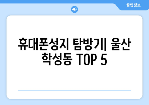 휴대폰성지 탐방기| 울산 학성동 TOP 5