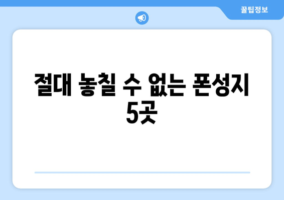 절대 놓칠 수 없는 폰성지 5곳