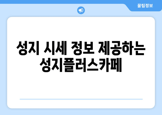 성지 시세 정보 제공하는 성지플러스카페