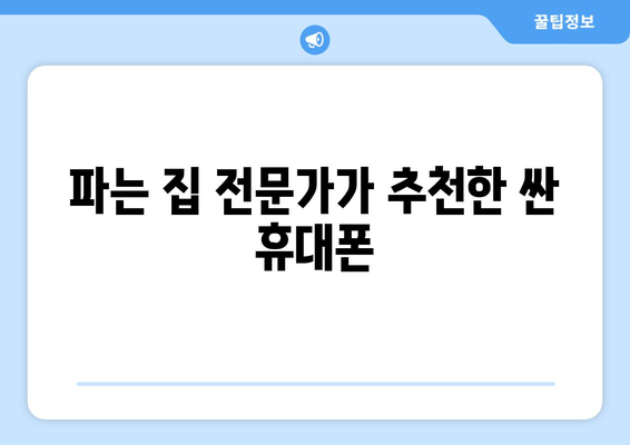 파는 집 전문가가 추천한 싼 휴대폰