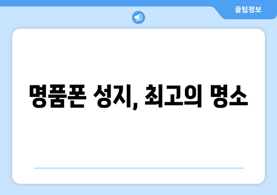 명품폰 성지, 최고의 명소