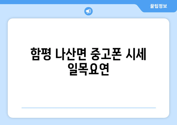 함평 나산면 중고폰 시세 일목요연