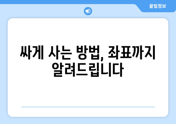 싸게 사는 방법, 좌표까지 알려드립니다