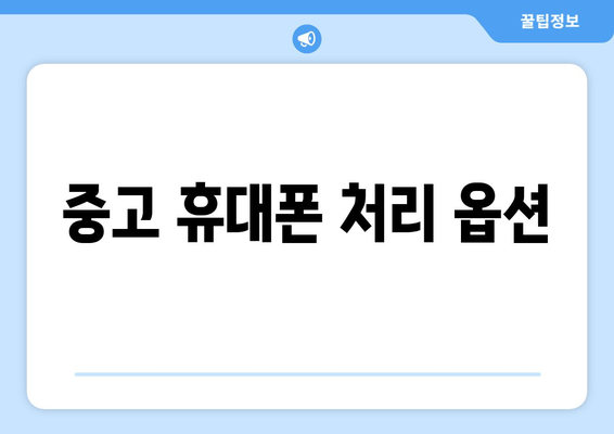 중고 휴대폰 처리 옵션