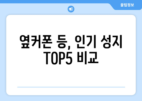 옆커폰 등, 인기 성지 TOP5 비교