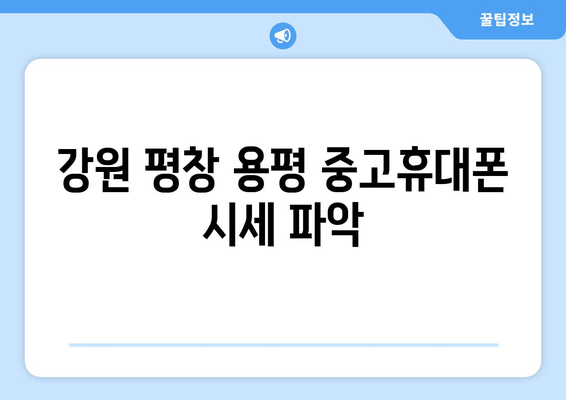 강원 평창 용평 중고휴대폰 시세 파악