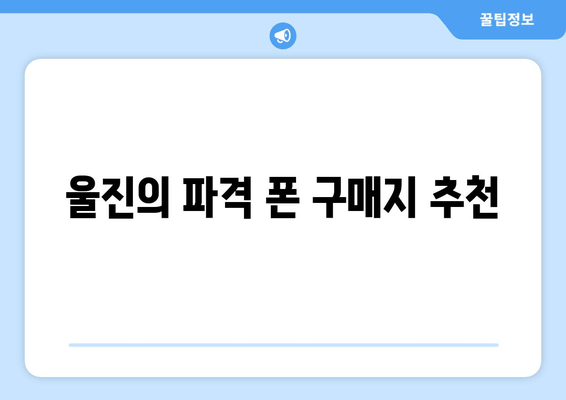 울진의 파격 폰 구매지 추천