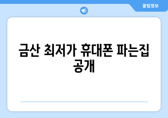 금산 최저가 휴대폰 파는집 공개