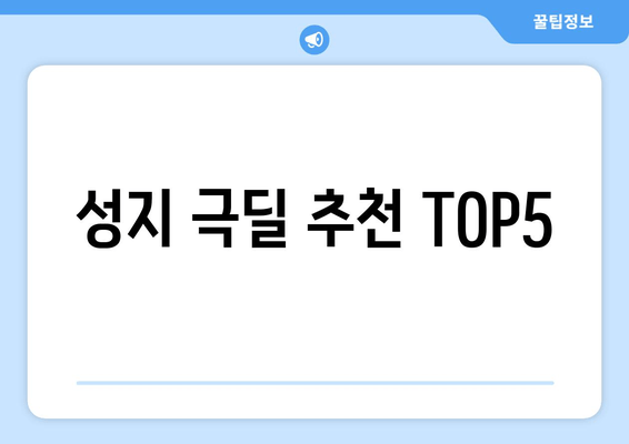 성지 극딜 추천 TOP5