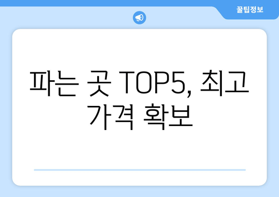 파는 곳 TOP5, 최고 가격 확보