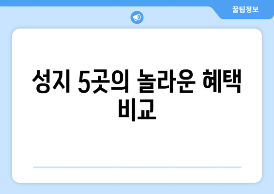 성지 5곳의 놀라운 혜택 비교