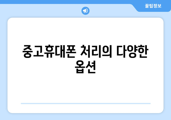 중고휴대폰 처리의 다양한 옵션