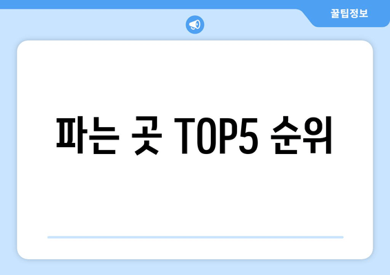 파는 곳 TOP5 순위