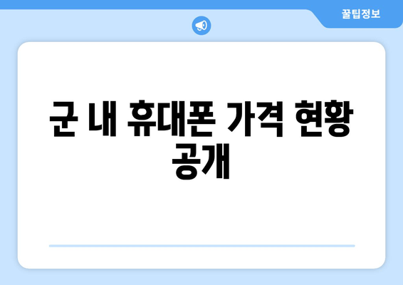 군 내 휴대폰 가격 현황 공개