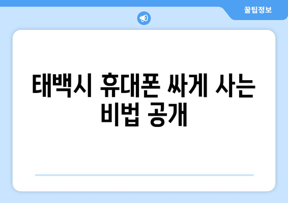 태백시 휴대폰 싸게 사는 비법 공개