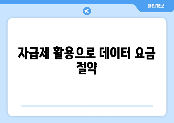 자급제 활용으로 데이터 요금 절약