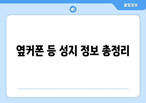 옆커폰 등 성지 정보 총정리