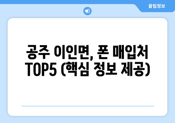 공주 이인면, 폰 매입처 TOP5 (핵심 정보 제공)