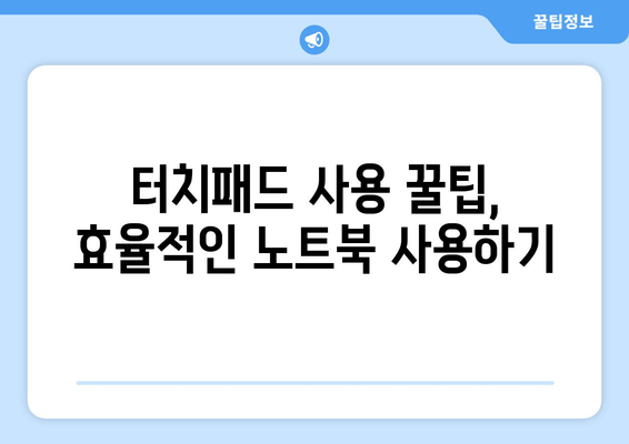 노트북 터치패드 잠금 해제 및 문제 해결 가이드 | 5가지 해결 방법 & 팁