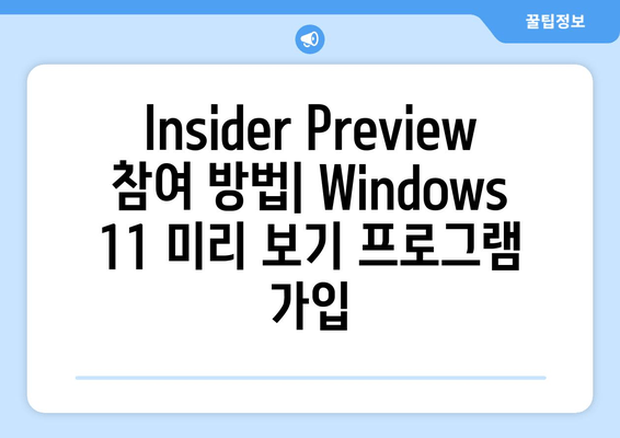 Windows 11 24H2 RTM Insider Preview (빌드 26100.268) | 한글/영문 버전 자세히 살펴보기 | Windows 11, Insider Preview, 빌드 26100.268, 한글, 영문