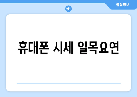 휴대폰 시세 일목요연