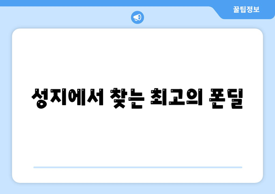 성지에서 찾는 최고의 폰딜