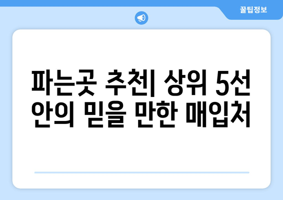 파는곳 추천| 상위 5선 안의 믿을 만한 매입처