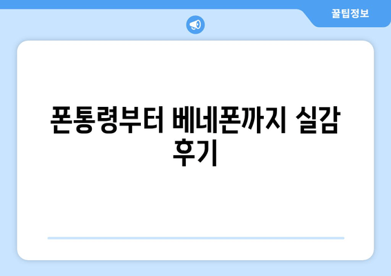 폰통령부터 베네폰까지 실감 후기