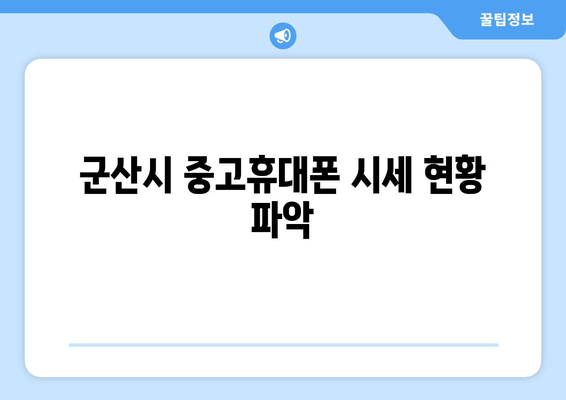 군산시 중고휴대폰 시세 현황 파악